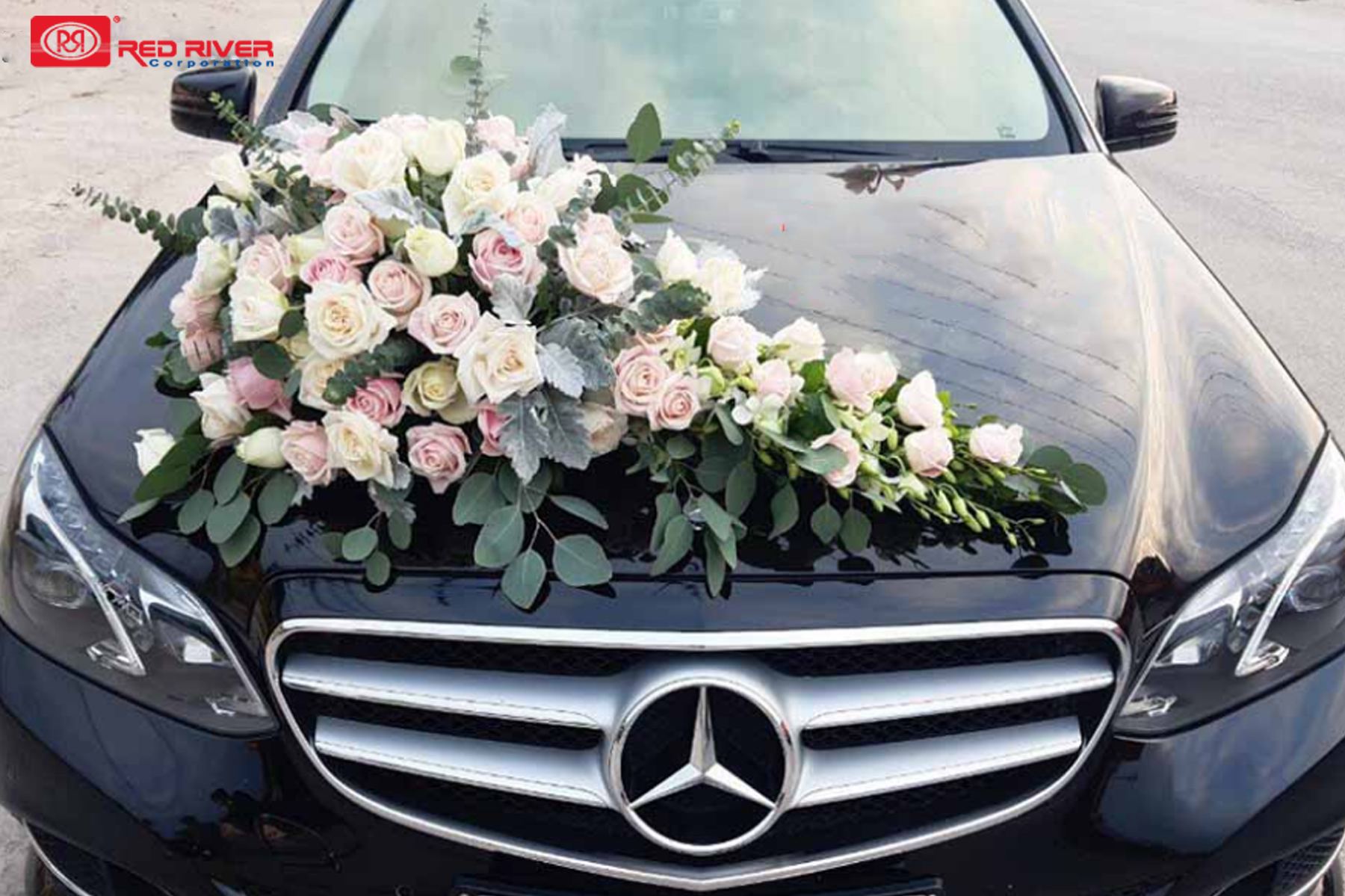 Cho thuê xe cưới cao cấp Mercedes, Camry - Redriverco